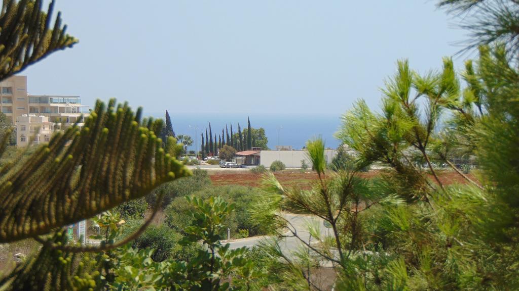 Konnos Villa Протарас Номер фото